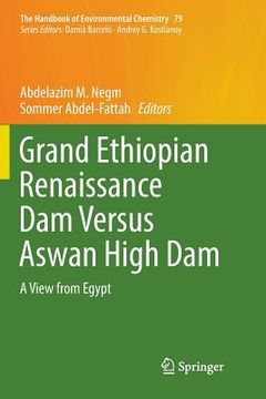 portada Grand Ethiopian Renaissance Dam Versus Aswan High Dam: A View from Egypt (en Inglés)