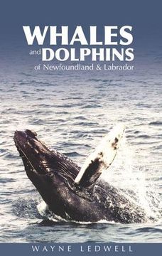 portada Whales & Dolphins of Newfoundland & Labrador