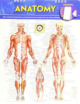 portada Anatomy Easel Book: A Quickstudy Reference Tool (Quick Study: Quizzer) (en Inglés)