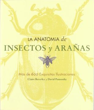 portada La Anatomía de Insectos y Arañas