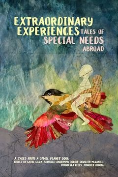 portada Extraordinary Experiences: Tales of Special Needs Abroad: A Tales from a Small Planet Book (in English)