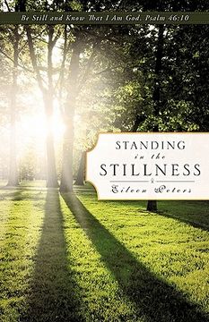 portada standing in the stillness (en Inglés)
