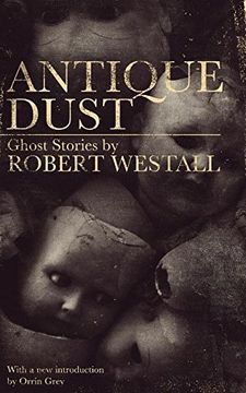 portada Antique Dust: Ghost Stories (Valancourt 20th Century Classics)