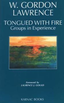 portada tongued with fire: groups in experience (en Inglés)