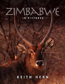 portada zimbabwe in pictures (en Inglés)