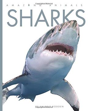 portada Sharks (Amazing Animals) (in English)