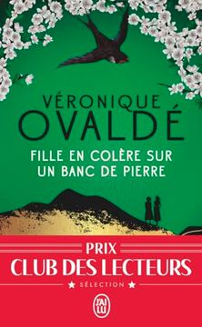 portada Fille en Colère sur un Banc de Pierre (in French)