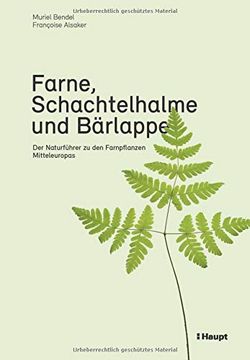 portada Farne, Schachtelhalme und Bärlappe (en Alemán)
