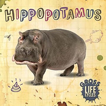 portada Hippopotamus (Gross Life Cycles) (en Inglés)
