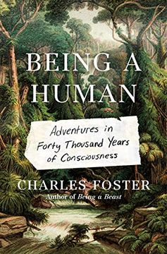 portada Being a Human: Adventures in Forty Thousand Years of Consciousness (en Inglés)