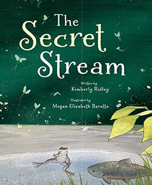 portada The Secret Stream (en Inglés)