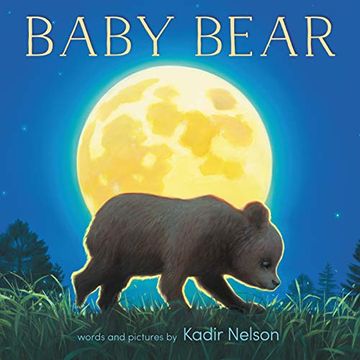 portada Baby Bear Board Book (en Inglés)