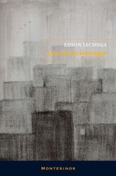 portada Luz de Luciernagas (in Spanish)