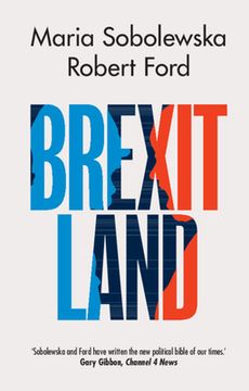 portada Brexitland: Identity, Diversity and the Reshaping of British Politics (en Inglés)
