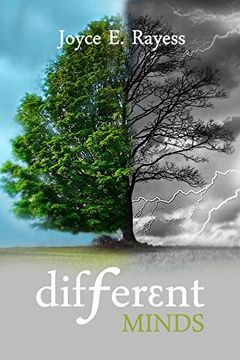 portada Different Minds (Morgan James Fiction) (in English)