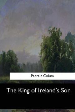 portada The King of Ireland's Son (in English)