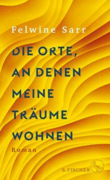 portada Die Orte, an Denen Meine Träume Wohnen: Roman (en Alemán)
