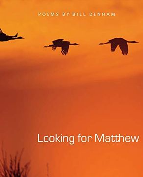 portada Looking for Matthew (in English)