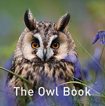portada The Owl Book