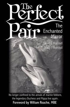 portada the perfect pair: the enchanted mirror. david c. holroyd with tracy j. holroyd