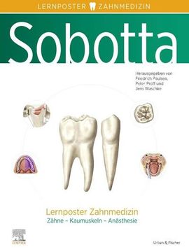 portada Sobotta Lernposter Zahnmedizin (en Alemán)