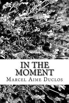 portada In The Moment (in English)