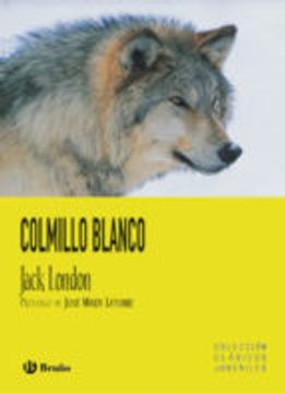 Colmillo Blanco (in Spanish)