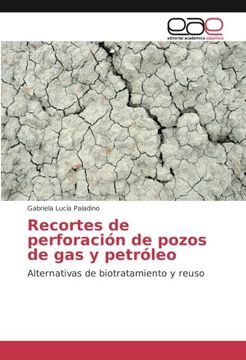 portada Recortes de perforación de pozos de gas y petróleo: Alternativas de biotratamiento y reuso