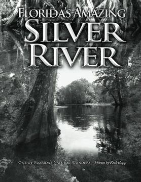 portada Florida's Amazing Silver River: One of Florida's Natural Wonders (Volume 1)