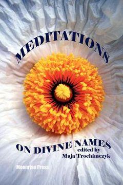 portada meditations on divine names (en Inglés)