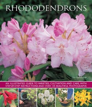 portada Rhododendrons: An Illustrated Guide to Varieties, Cultivation and Care, with Step-By-Step Instructions and Over 135 Beautiful Photogr (en Inglés)