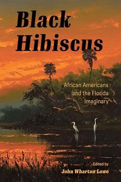 portada Black Hibiscus: African Americans and the Florida Imaginary (en Inglés)