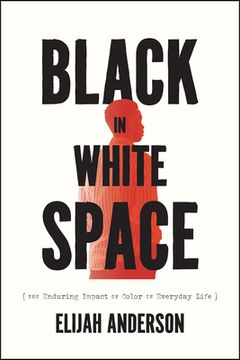 portada Black in White Space: The Enduring Impact of Color in Everyday Life (en Inglés)