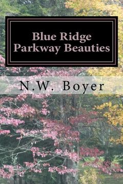 portada Blue Ridge Parkway Beauties: 2nd Edition: Volume 1 (Blue Ridge Mountain Series)