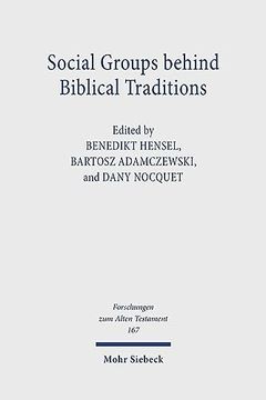 portada Social Groups Behind Biblical Traditions: Identity Perspectives from Egypt, Transjordan, Mesopotamia, and Israel in the Second Temple Period (en Inglés)