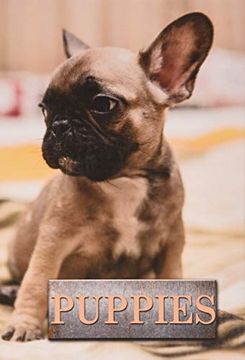 portada Puppies (Pet Library) (en Inglés)