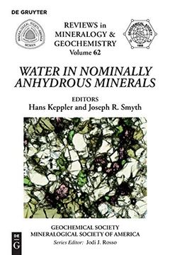 portada Water in Nominally Anhydrous Minerals (Reviews in Mineralogy & Geochemistry) (en Inglés)