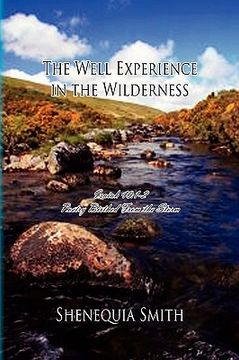 portada the well experience in the wilderness,poetry birthed from the storm