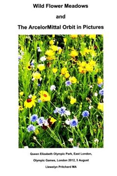 portada Wild Flower Meadows and The ArcelorMittal Orbit in Pictures (Photo Albums) (Volume 18) (Japanese Edition)
