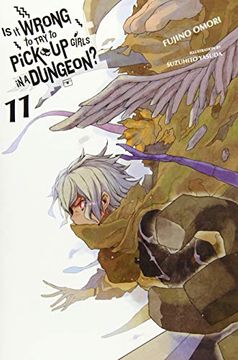 portada Is it Wrong to try to Pick up Girls in a Dungeon? , Vol. 11 (Light Novel) (in English)