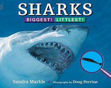 portada Sharks: Biggest! Littlest! (Strange & Wonderful) 