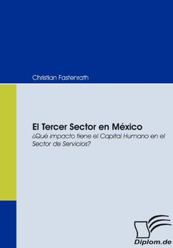 portada El Tercer Sector en México: Qué Impacto Tiene el Capital Humano en el Sector de Servicios? (in Spanish)