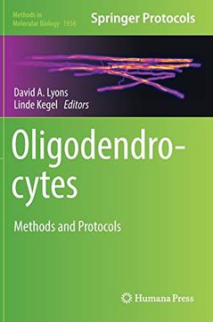 portada Oligodendrocytes: Methods and Protocols (Methods in Molecular Biology) (en Inglés)