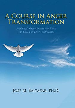 portada A Course in Anger Transformation: Facilitator'S Group Process Handbook With Lesson-By-Lesson Instructions 
