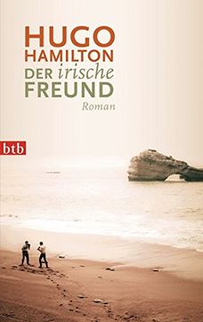portada Der Irische Freund: Roman (en Alemán)