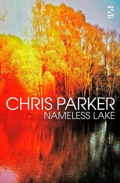 portada Nameless Lake