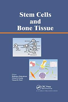 portada Stem Cells and Bone Tissue (en Inglés)