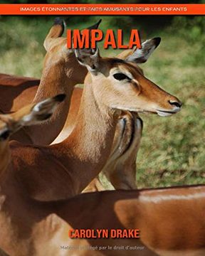 portada Impala: Images Étonnantes et Faits Amusants Pour les Enfants 
