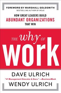 portada the why of work,how leaders create meaning at work to exceed financial, customer, and community goals (in English)