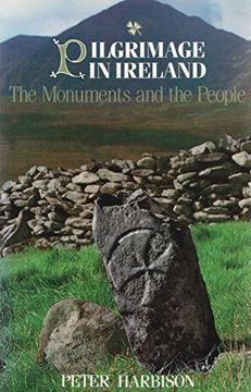 portada Pilgrimage in Ireland: The Monuments and the People (Irish Studies) 